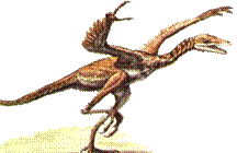 Archaeopteryx