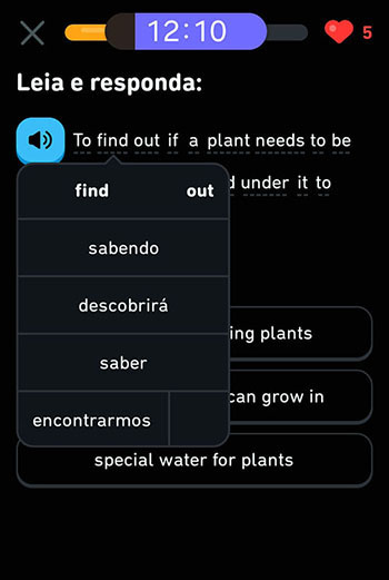 Sua Imagem Responsiva