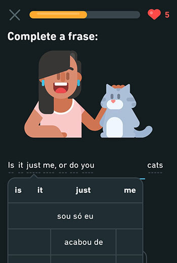 Sua Imagem Responsiva