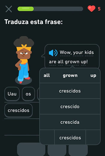 Sua Imagem Responsiva