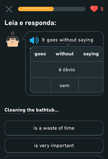 Sua Imagem Responsiva
