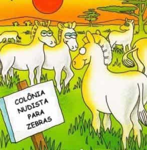Sua Imagem Responsiva