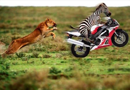 Sua Imagem Responsiva