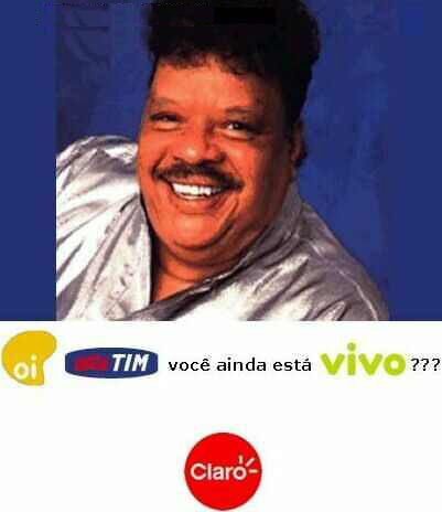 Sua Imagem Responsiva