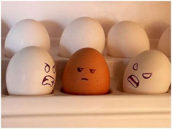 Sua Imagem Responsiva
