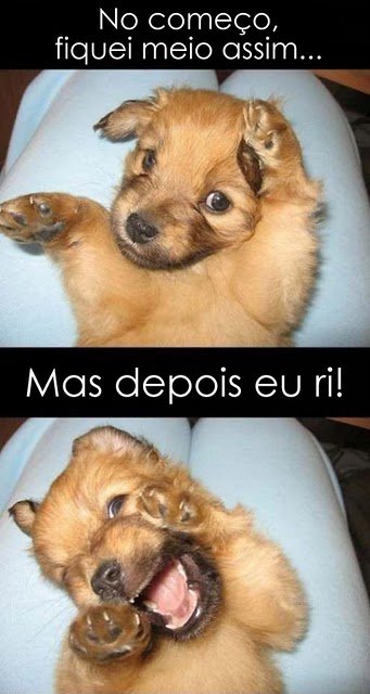 Sua Imagem Responsiva