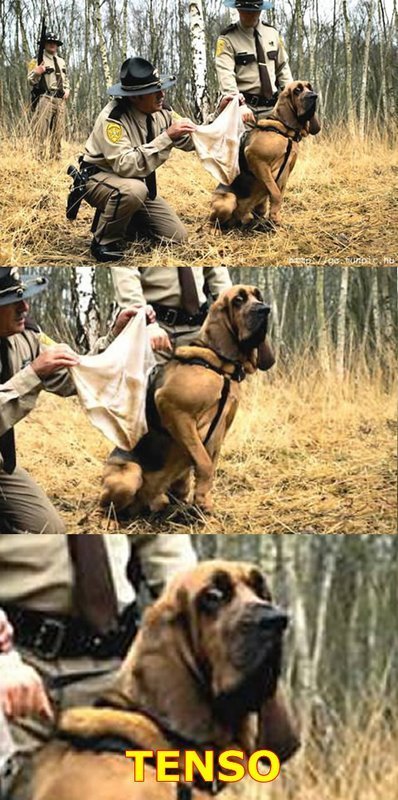 Sua Imagem Responsiva