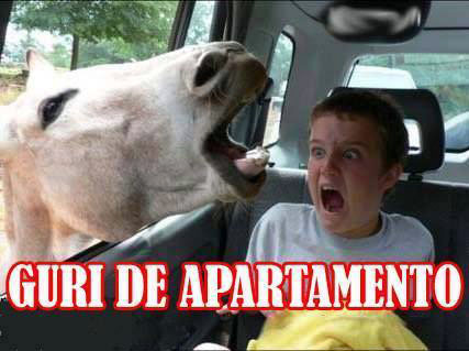 Sua Imagem Responsiva
