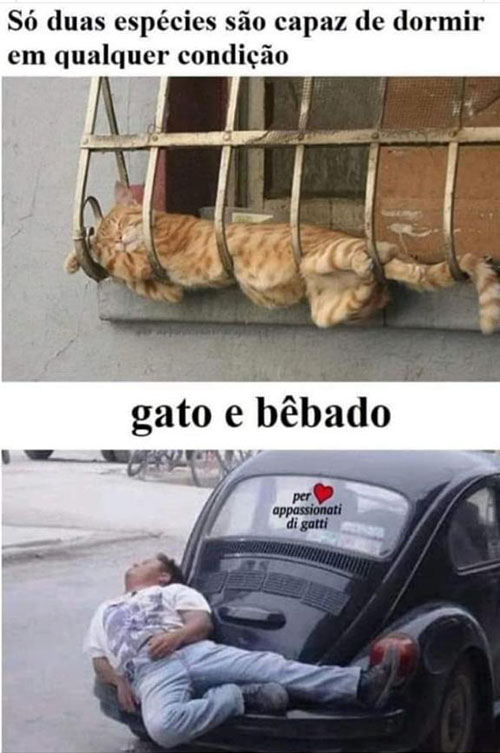 Sua Imagem Responsiva