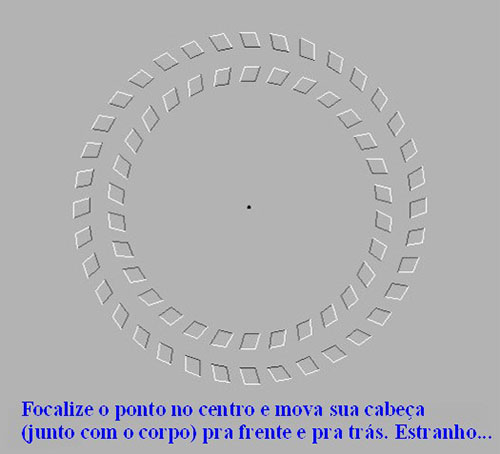 Sua Imagem Responsiva